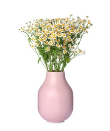 Photo of Pink vase with beautiful chamomile flowers isolated on white