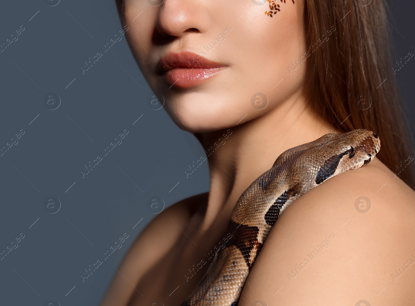 Photo of Young woman with boa constrictor on grey background, closeup