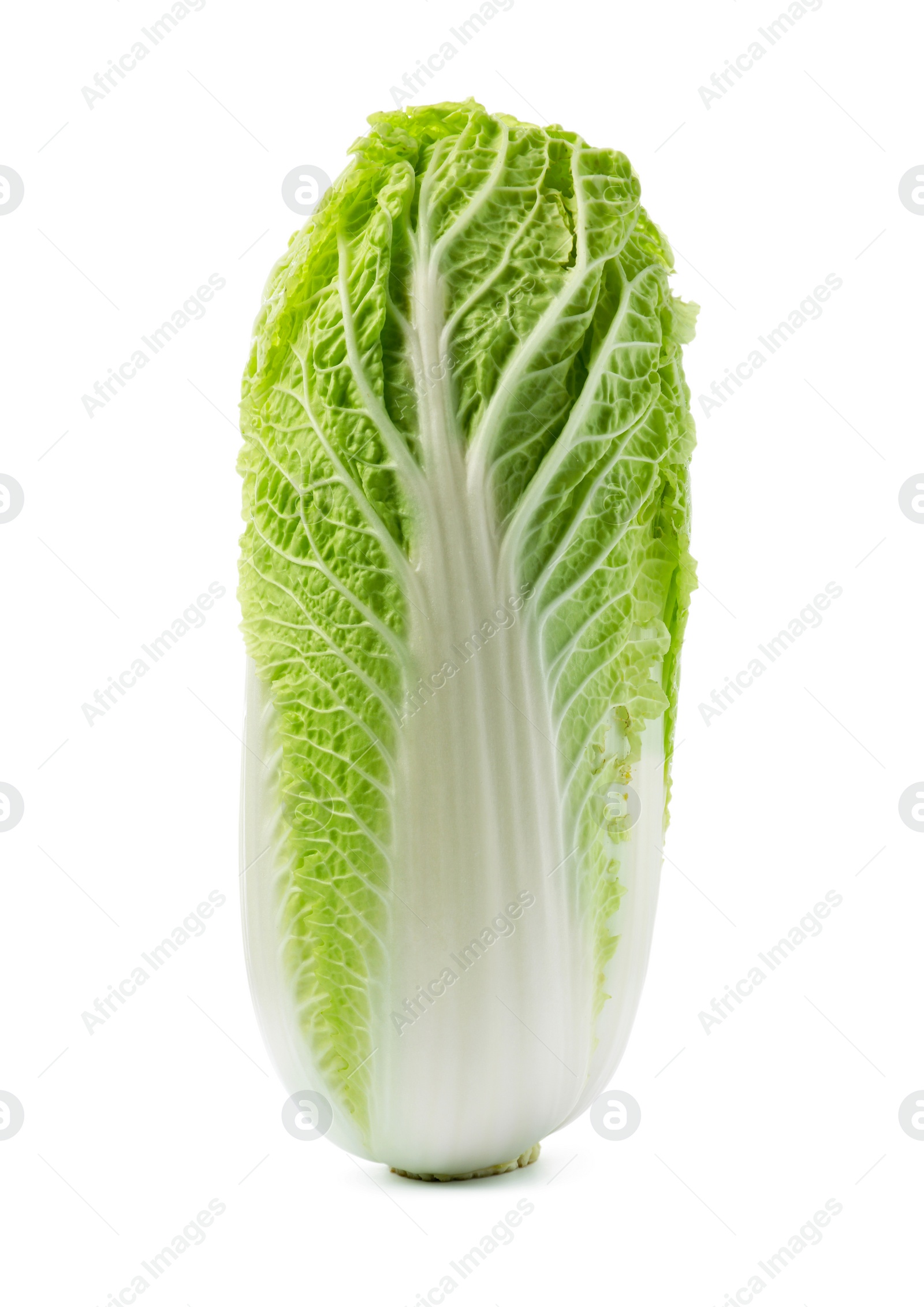 Photo of Fresh ripe Chinese cabbage on white background