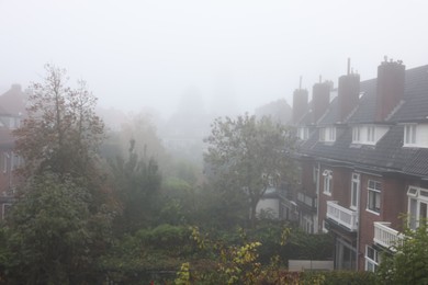 Beautiful buildings and trees in fog outdoors