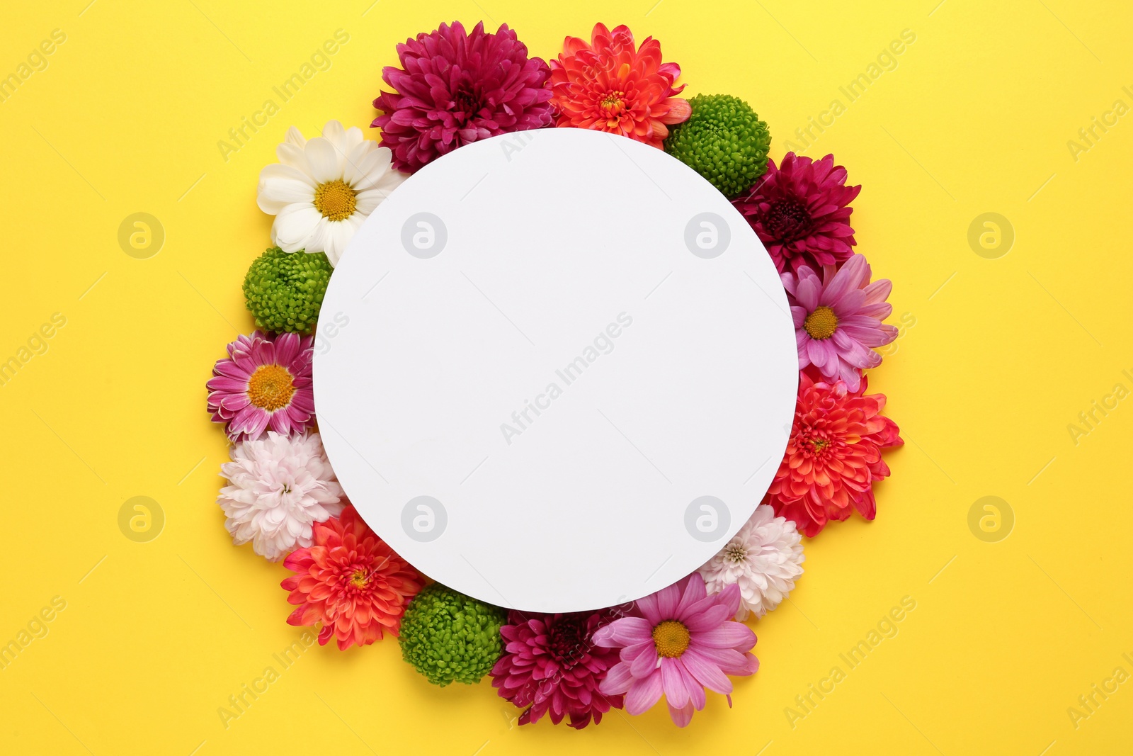 Photo of Frame made of beautiful chrysanthemum flowers and blank card on yellow background, flat lay. Space for text