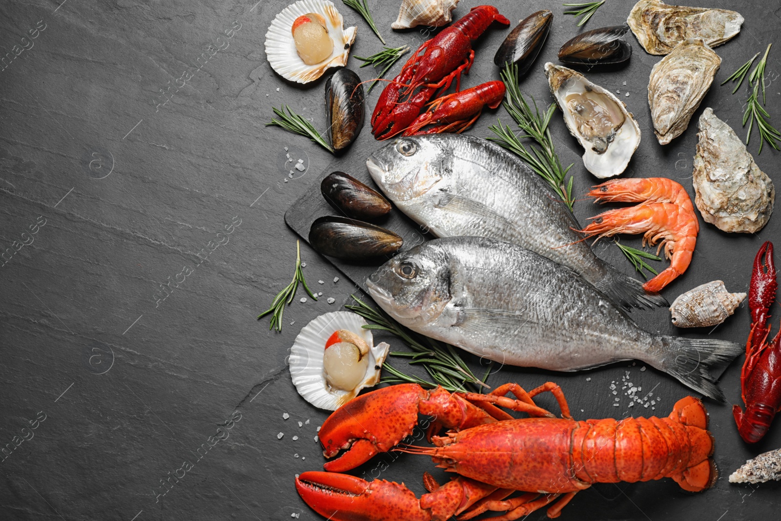 Photo of Fresh fish and different seafood on black table, flat lay. Space for text