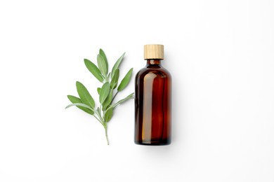 Photo of Bottles of essential sage oil and twig on white background, top view
