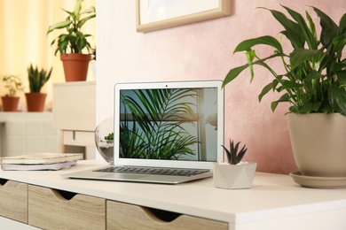 Houseplants and laptop on table in office interior