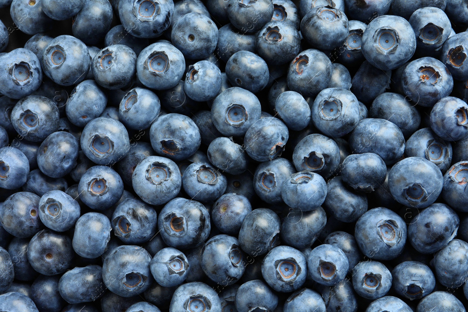 Photo of Tasty fresh blueberries as background, top view