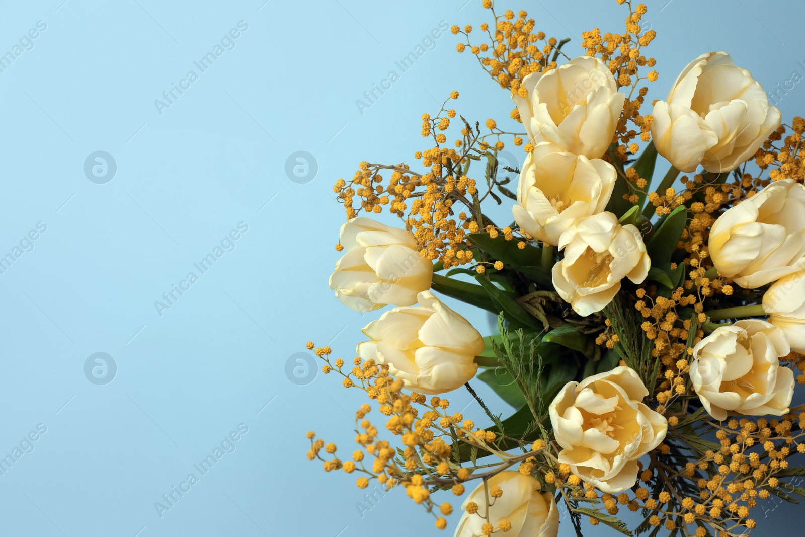 Photo of Bouquet with beautiful tulips and mimosa flowers on light grey background, top view. Space for text