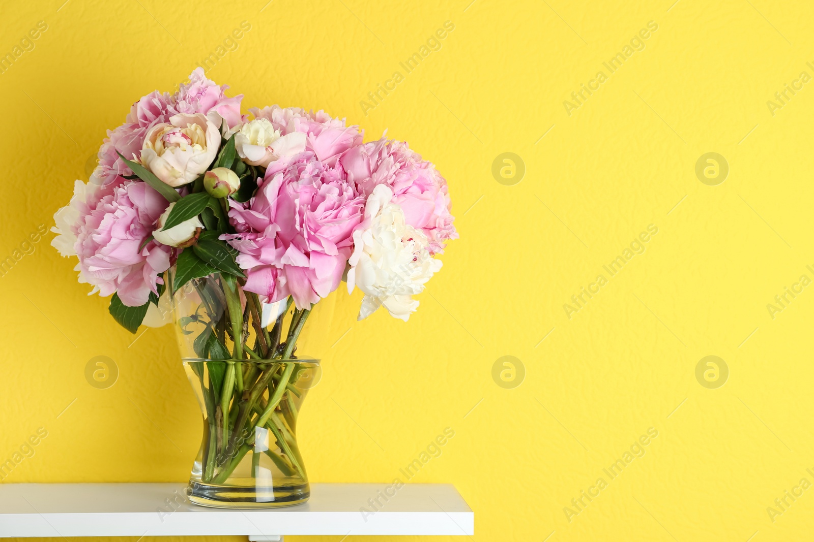 Photo of Beautiful peonies on white table against yellow background. Space for text