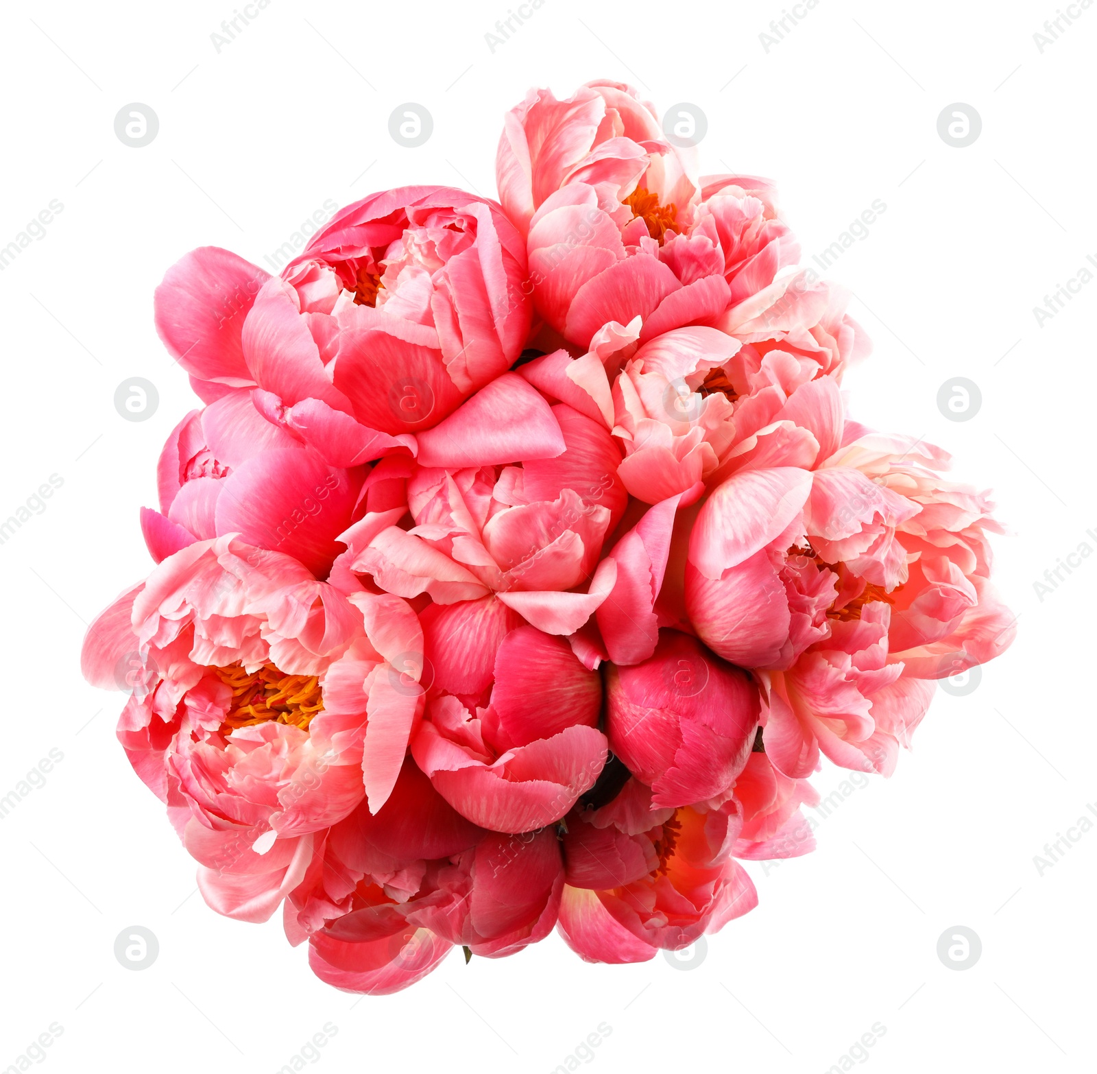 Photo of Beautiful pink peony bouquet isolated on white