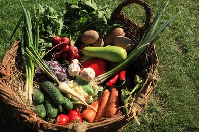 Photo of Different fresh ripe vegetables in wicker basket on green grass