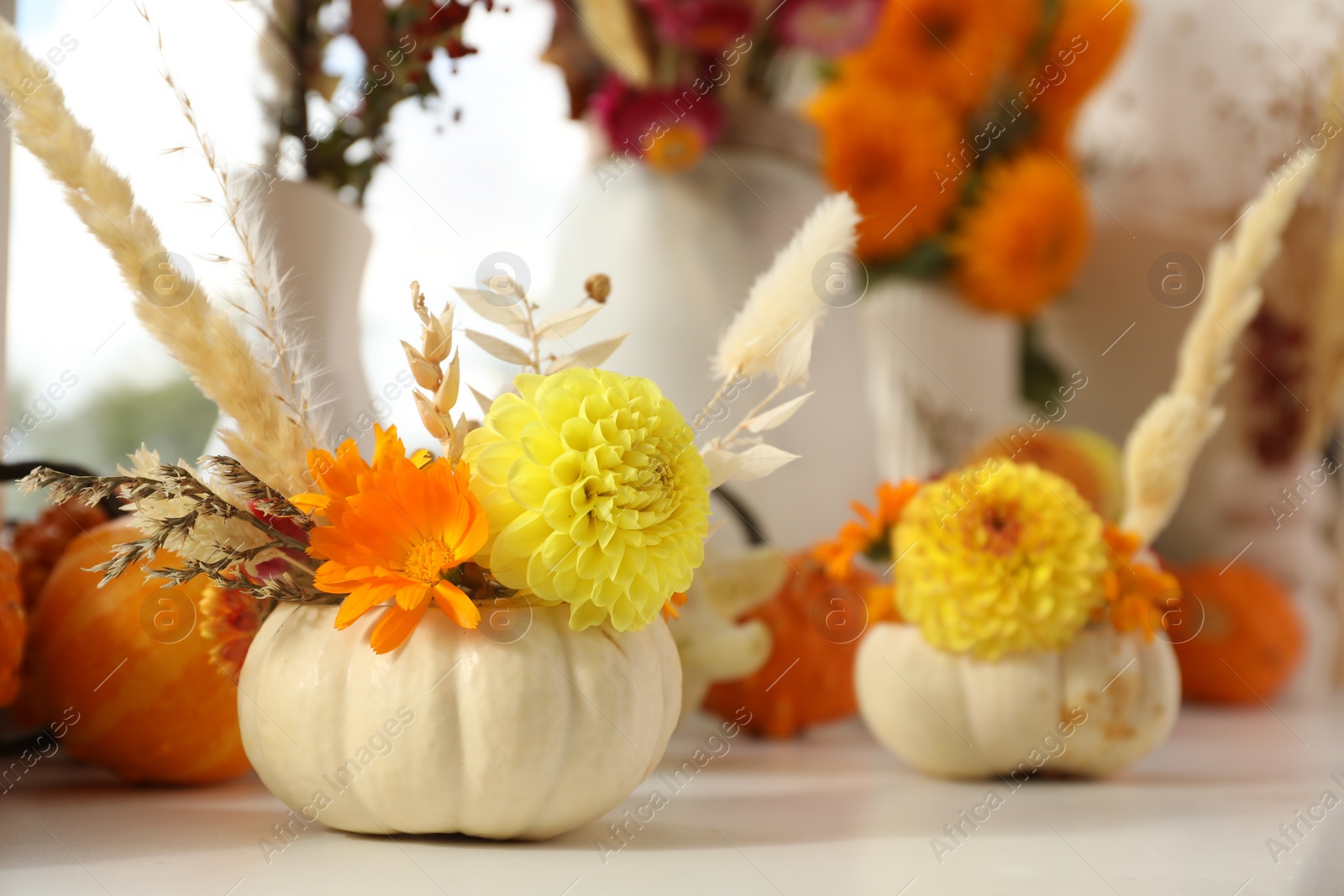 Photo of Composition with small pumpkins, beautiful flowers and spikelets on white window sill indoors, closeup