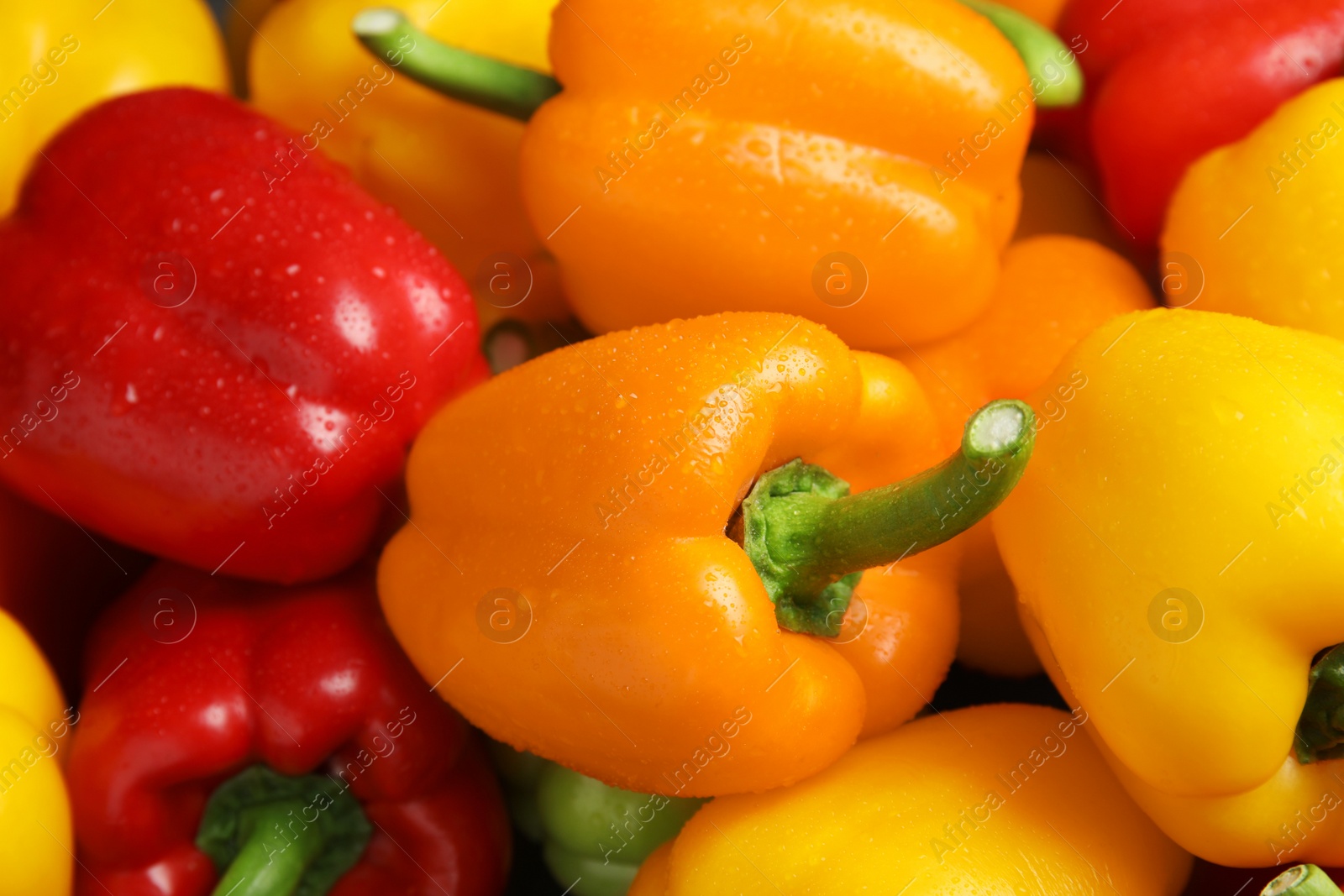 Photo of Wet ripe colorful bell peppers as background, closeup