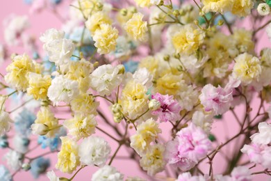 Beautiful dyed gypsophila flowers on pink background, closeup