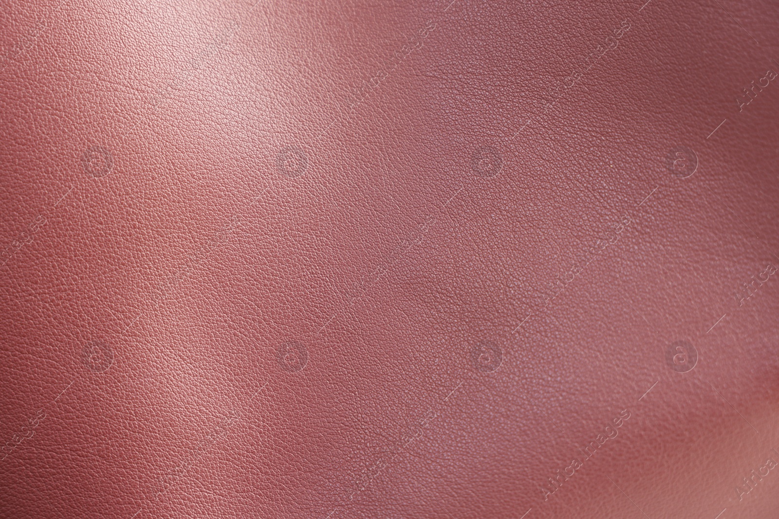 Photo of Texture of leather as background, closeup view