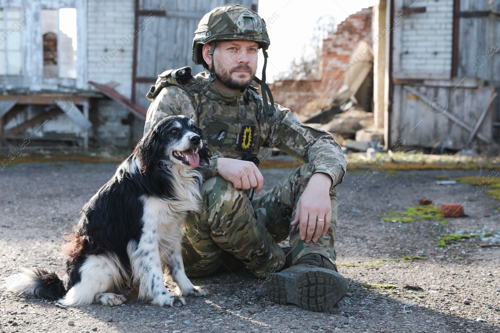 Photo of Ukrainian soldier with stray dog outdoors on sunny day