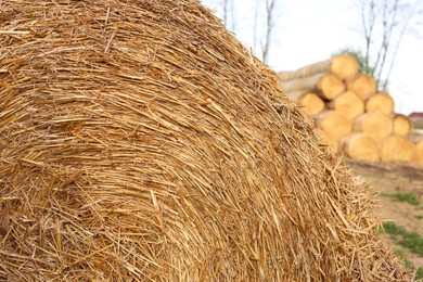 Big hay bale roll outdoors on spring day, closeup view