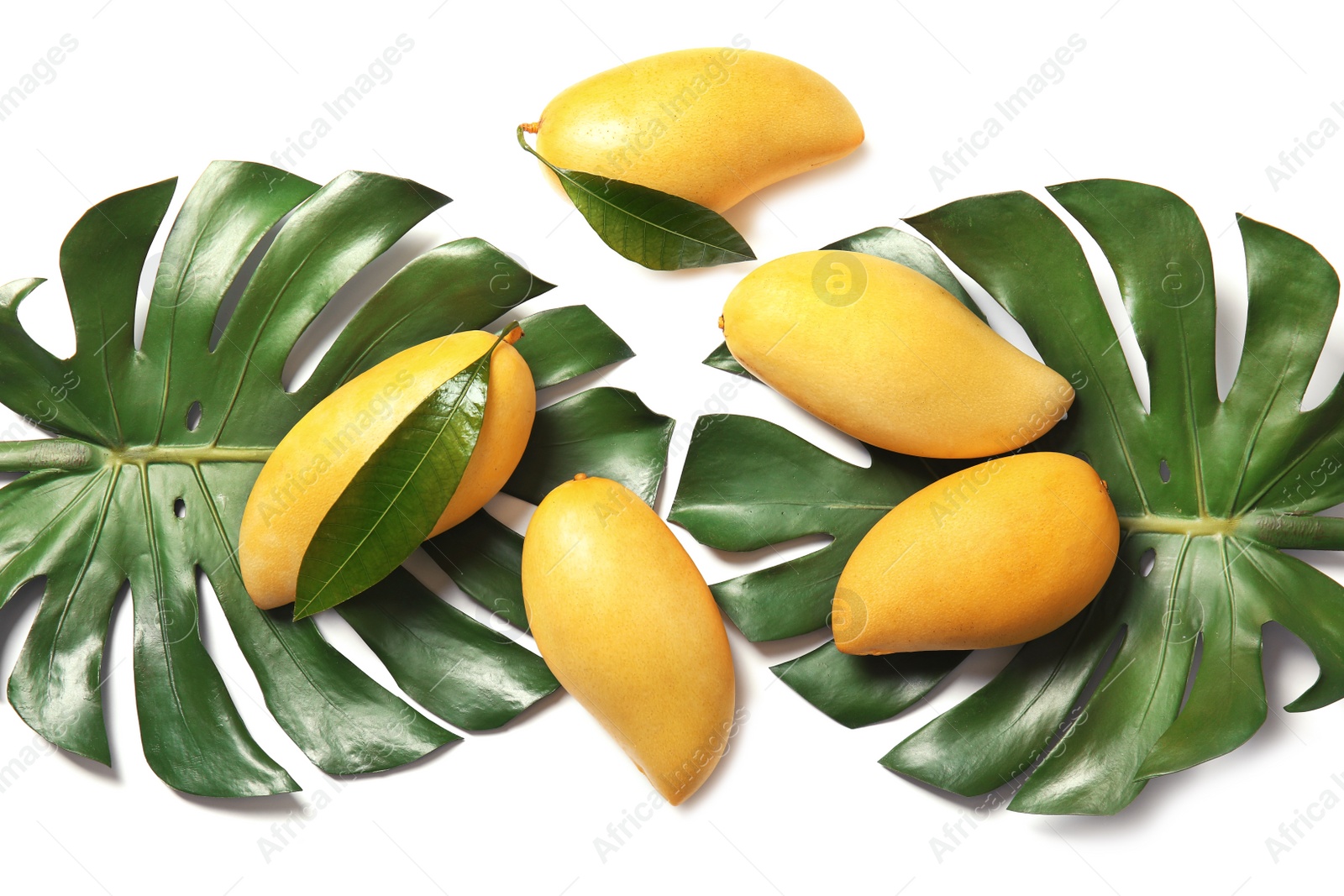 Photo of Composition with fresh mango fruits on white background, top view