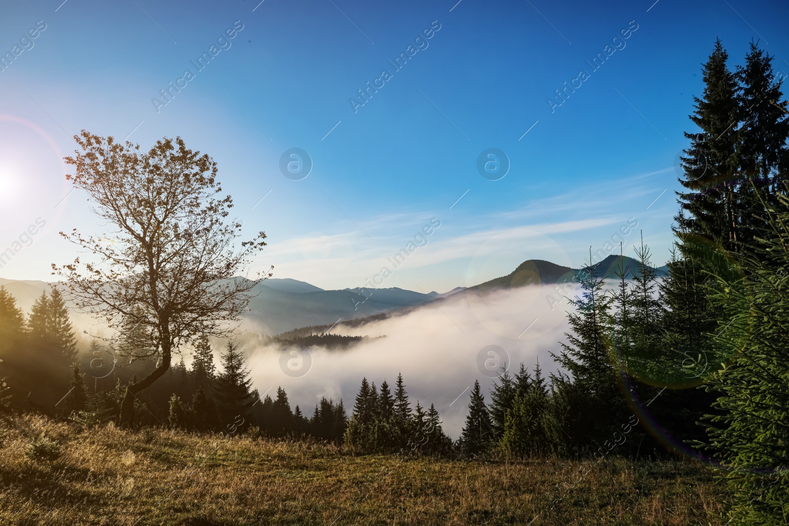 Photo of Beautiful view of mountains covered with fog at sunrise