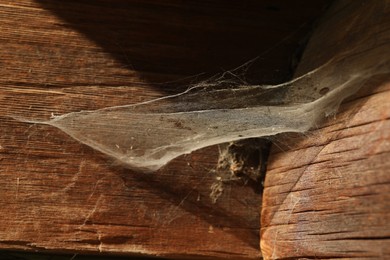 Photo of Dusty cobweb on wooden building outdoors, closeup