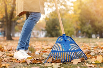 Photo of Woman cleaning up fallen leaves with rake, outdoors. Autumn work