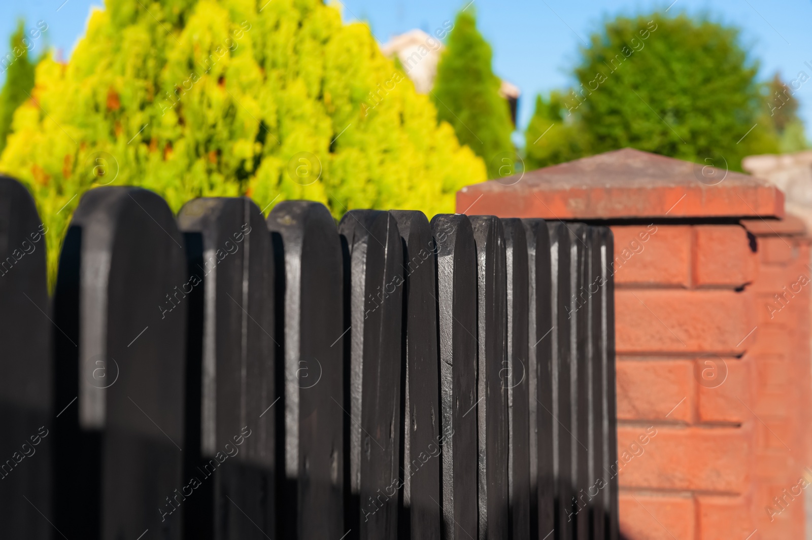 Photo of Beautiful wooden fence on sunny day outdoors, closeup