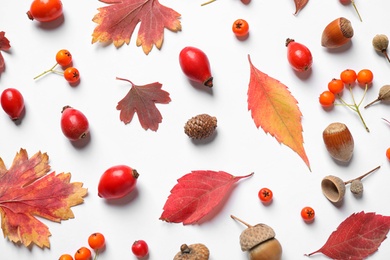 Beautiful composition with autumn leaves on white background, flat lay