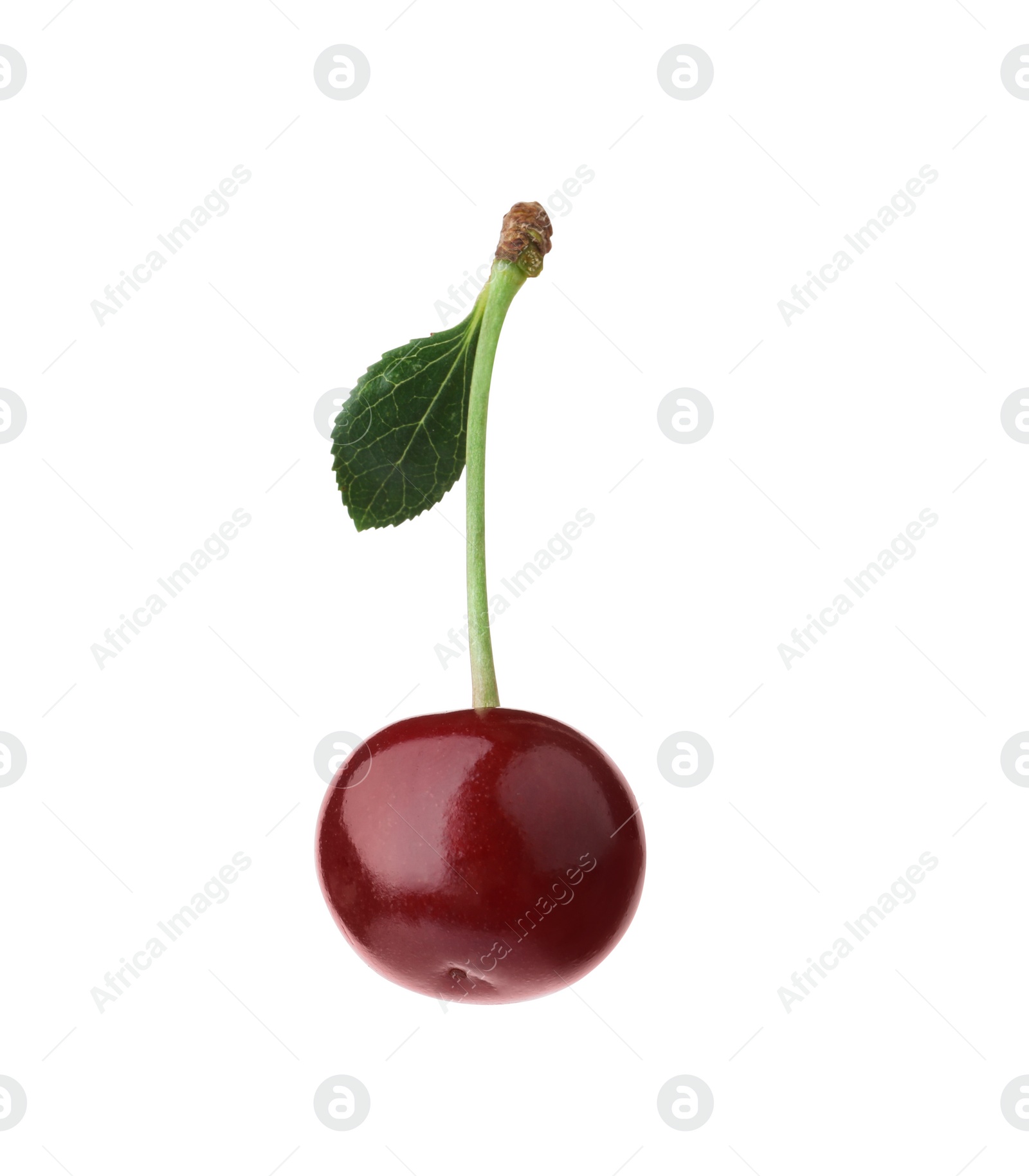 Photo of Delicious ripe sweet cherry with leaf isolated on white