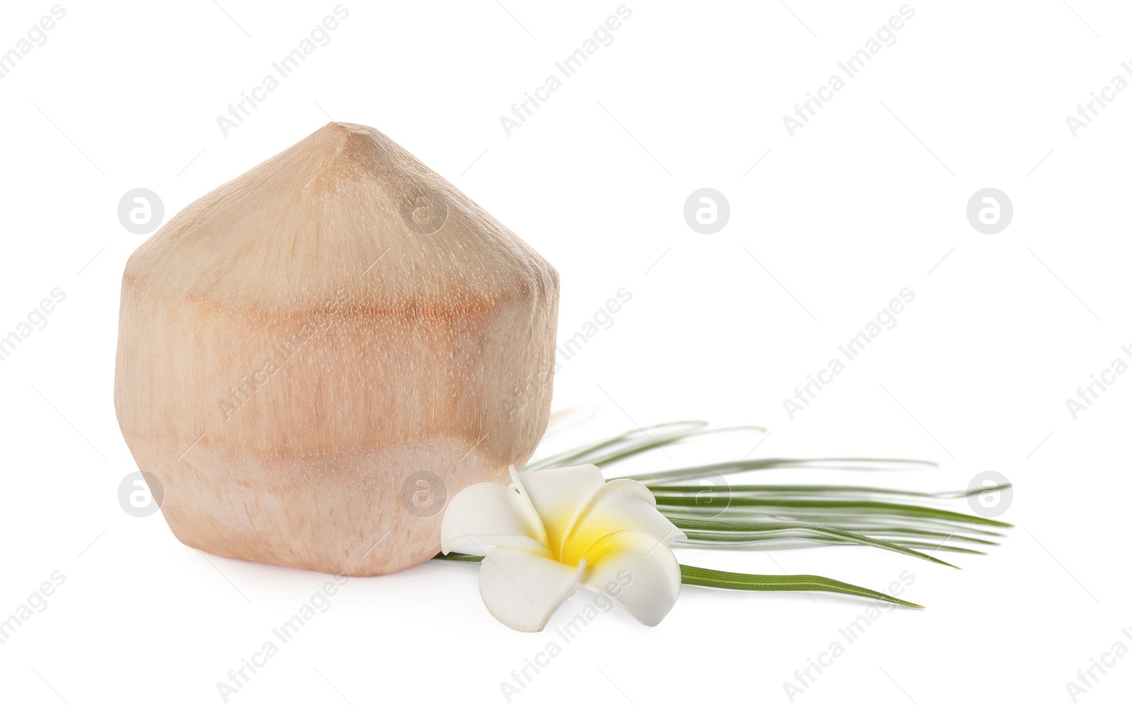 Photo of Young peeled coconut with palm leaf and beautiful flower isolated on white