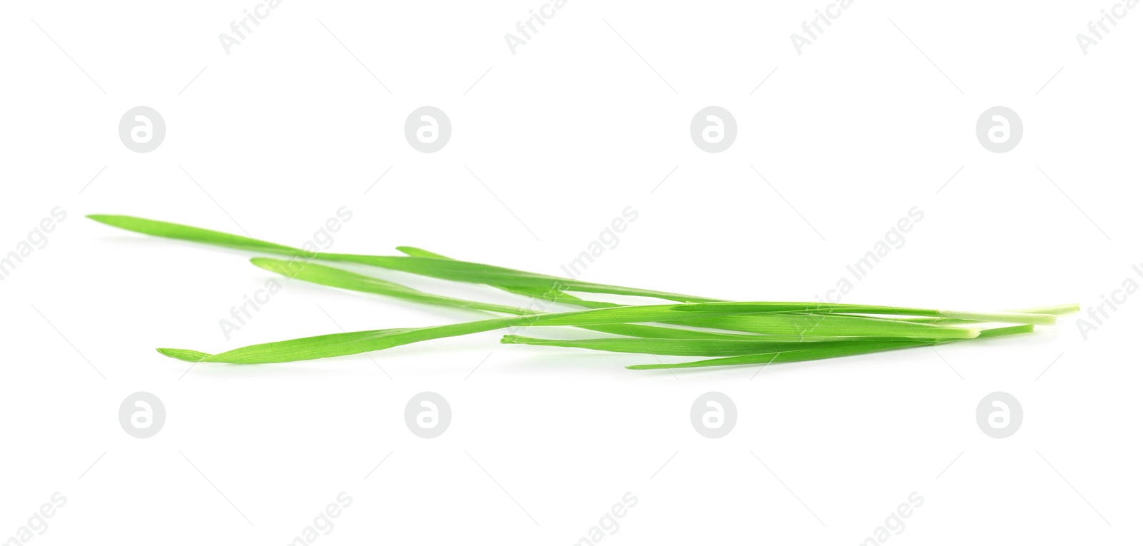 Photo of Green organic wheat grass on white background