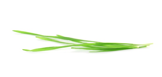 Photo of Green organic wheat grass on white background