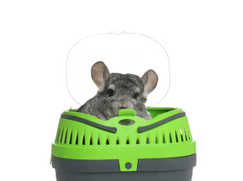 Photo of Cute grey chinchilla inside carrier on white background