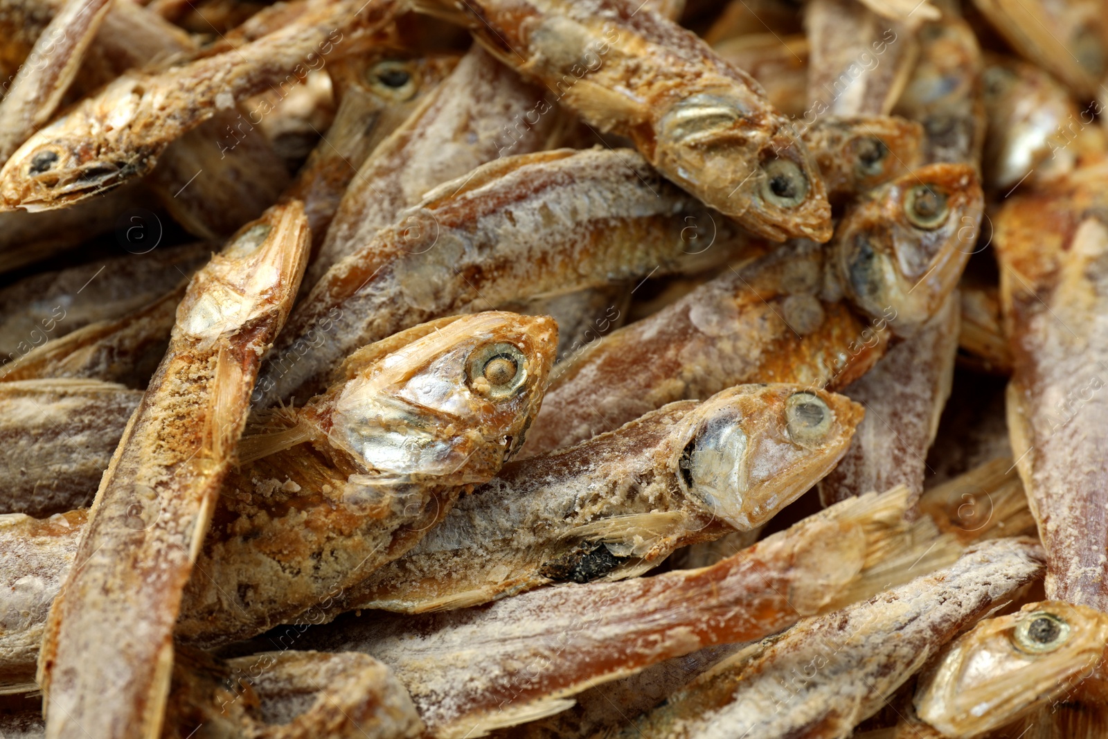 Photo of Many tasty dried anchovies as background, closeup