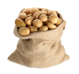 Photo of Raw fresh organic potatoes on white background