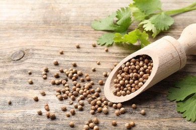 Photo of Scoop with dried coriander seeds and green leaves on wooden table, closeup