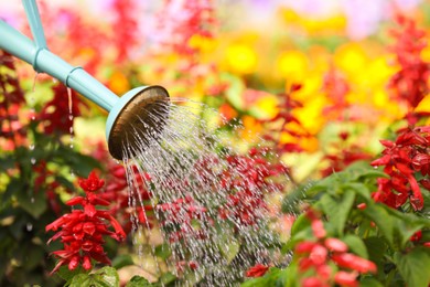 Watering beautiful flower bed with can outdoors