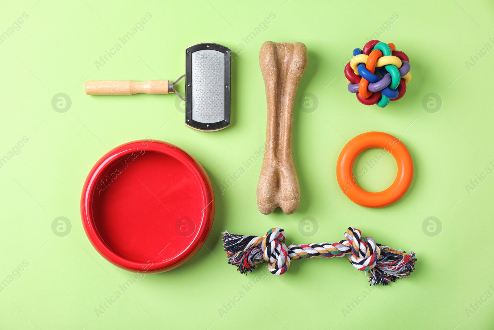 Photo of Flat lay composition with accessories for dog on color background. Pet care