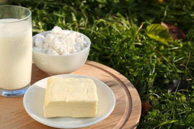 Wooden tray with tasty homemade butter and dairy products on grass outdoors, closeup. Space for text