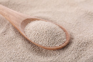 Photo of Spoon on pile of active dry yeast, closeup