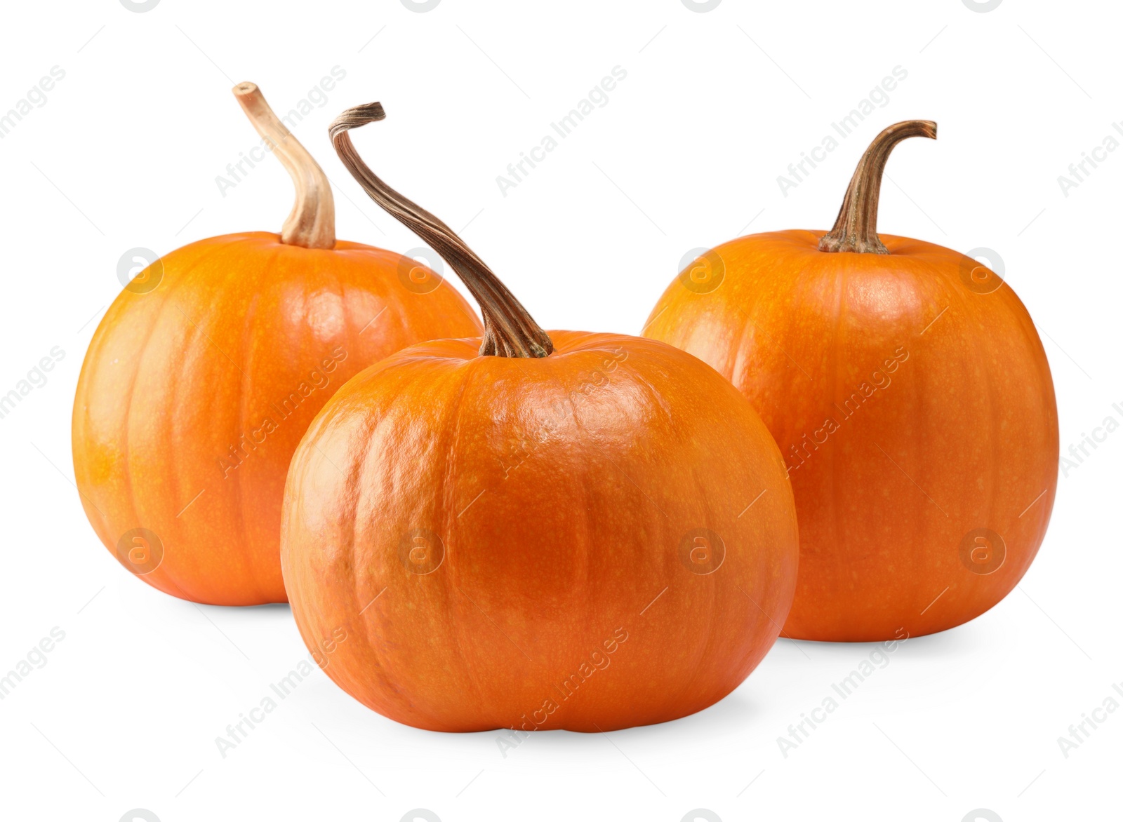 Photo of Many fresh orange pumpkins isolated on white