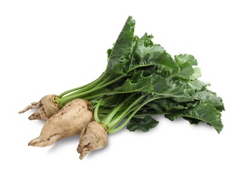 Sugar beets with leaves on white background