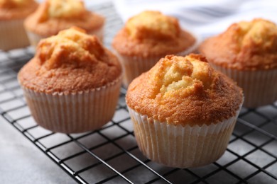 Delicious sweet muffins on grey table, closeup. Space for text