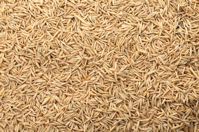 Raw oats as background. Healthy grains and cereals