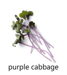 Image of Heap of fresh organic microgreen on white background, top view