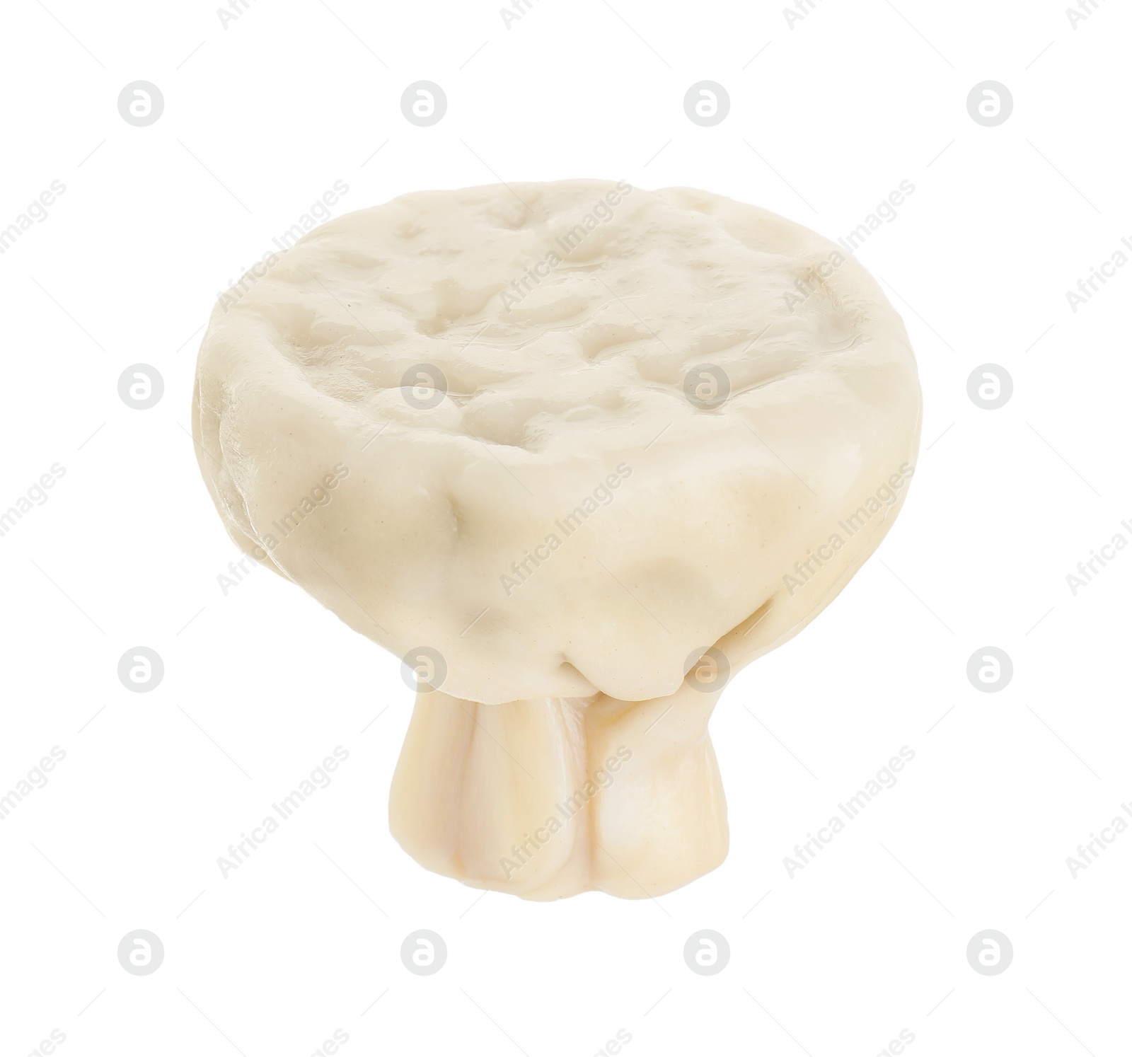 Photo of One tasty khinkali (dumpling) isolated on white. Georgian cuisine