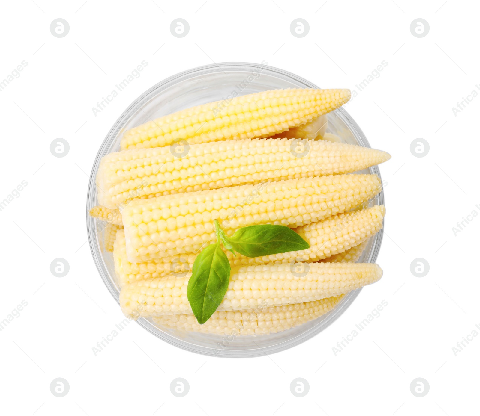 Photo of Canned baby corns with basil on white background, top view