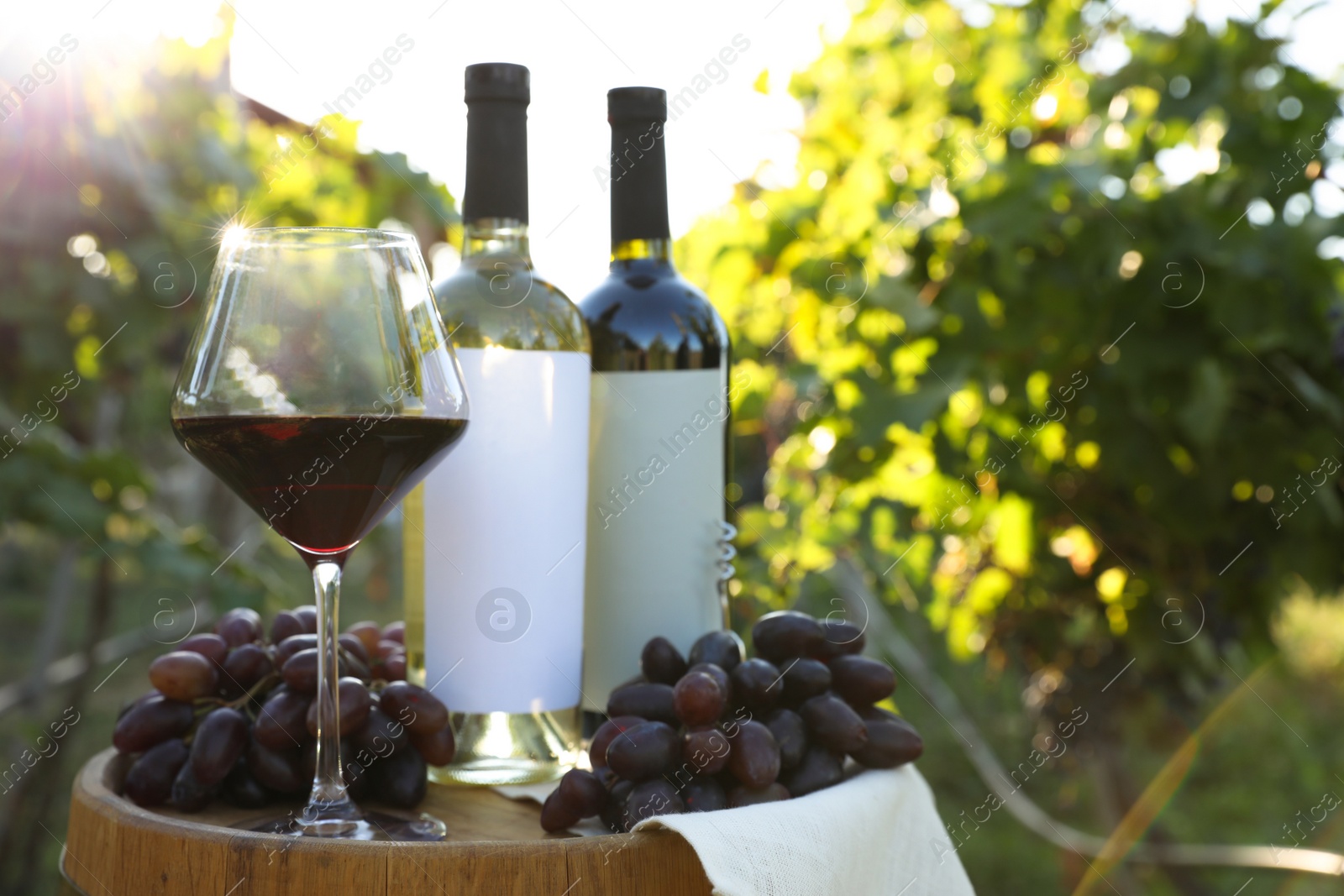 Photo of Composition with wine and ripe grapes on barrel in vineyard