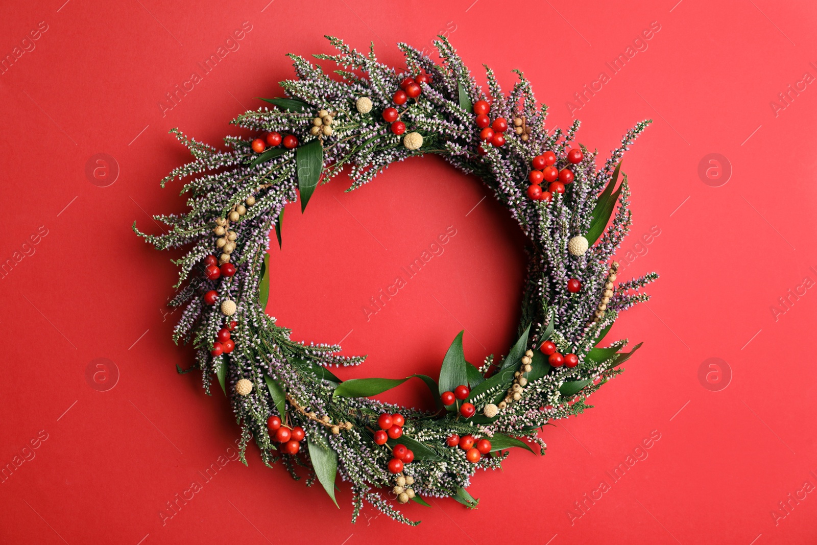 Photo of Beautiful heather wreath with berries on red background, top view. Autumnal flowers