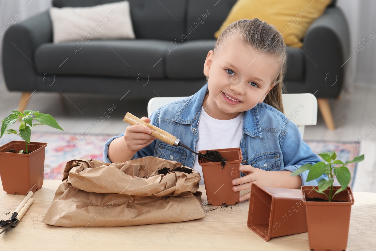 Photo of Cute little girl planting seedling into pot at wooden table in room