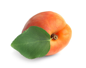 Photo of Delicious fresh ripe apricot isolated on white