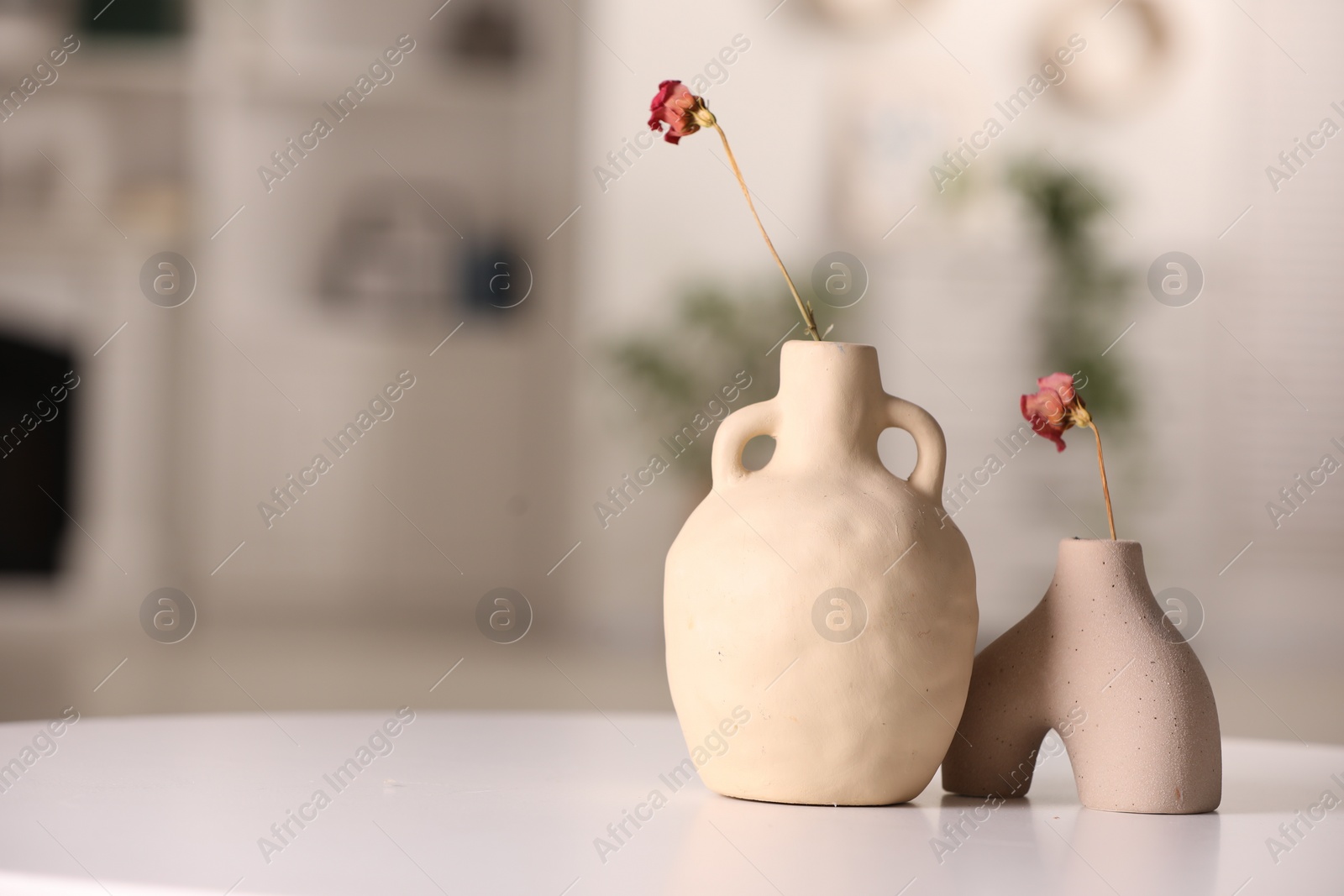 Photo of Vases with dried flowers on white table in room, space for text