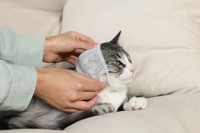 Photo of Woman putting medical bandage onto cat's ear indoors, closeup